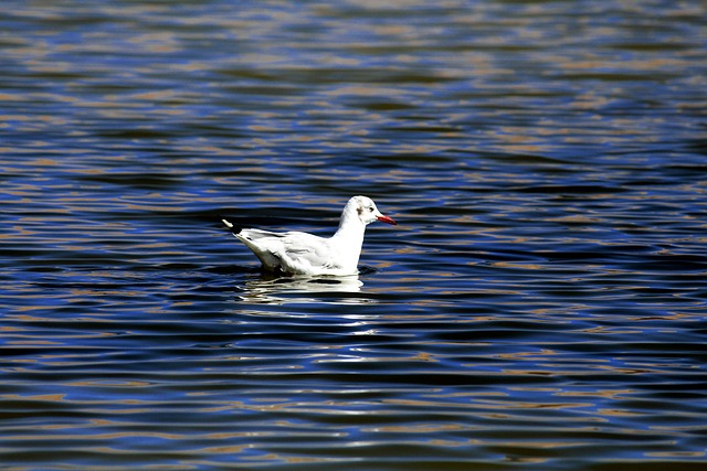 Foto do arquivo: fornecida por 【sjo138】