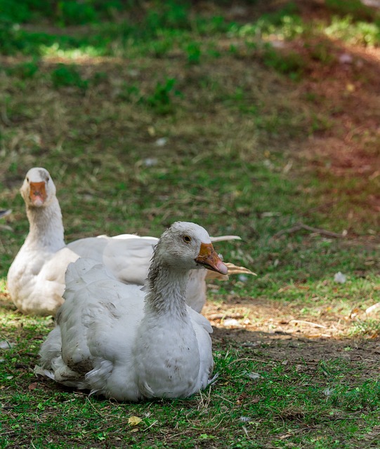 Foto do arquivo: fornecida por 【ok google resultado da loteria dos sonhos】