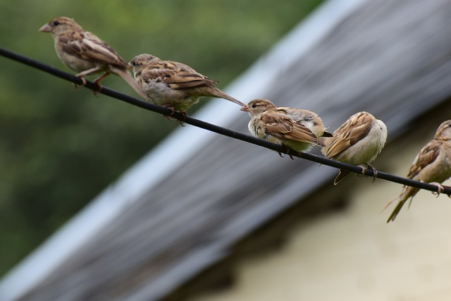 Foto do arquivo: fornecida por 【resultado da lotofácil dia 2 de março】