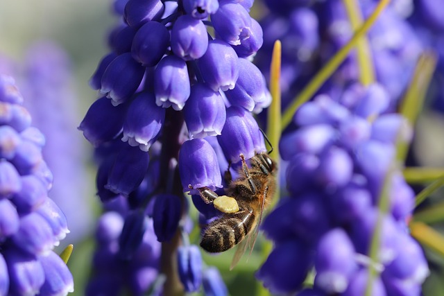 Foto do arquivo: fornecida por 【resultado da quina 5828】