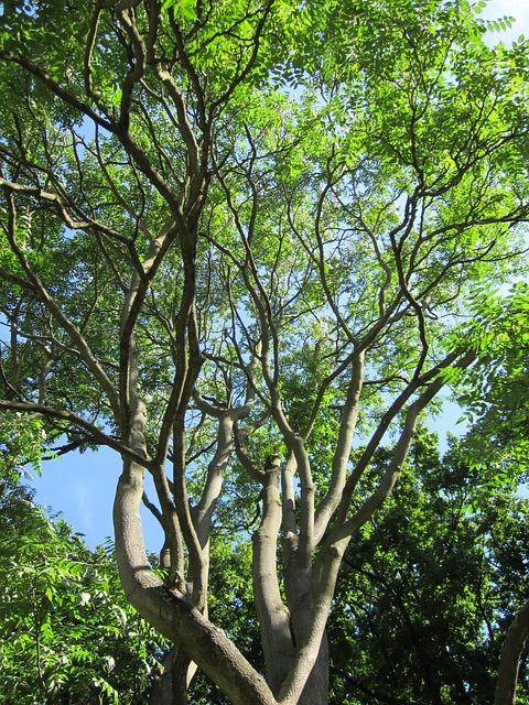 Foto do arquivo: fornecida por 【Antecipação financeira pelo pix】