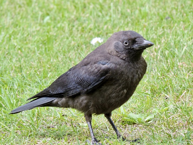 Foto do arquivo: fornecida por 【resultado do jogo em tempo real】