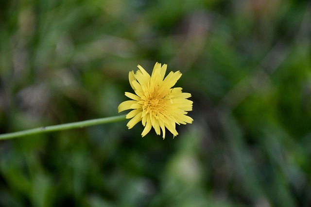 Foto do arquivo: fornecida por 【da para ganhar dinheiro com a blaze】