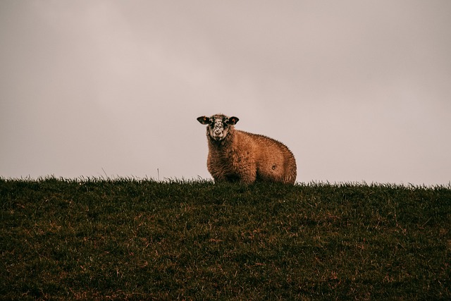 Foto do arquivo: fornecida por 【brabet bônus de cadastro】