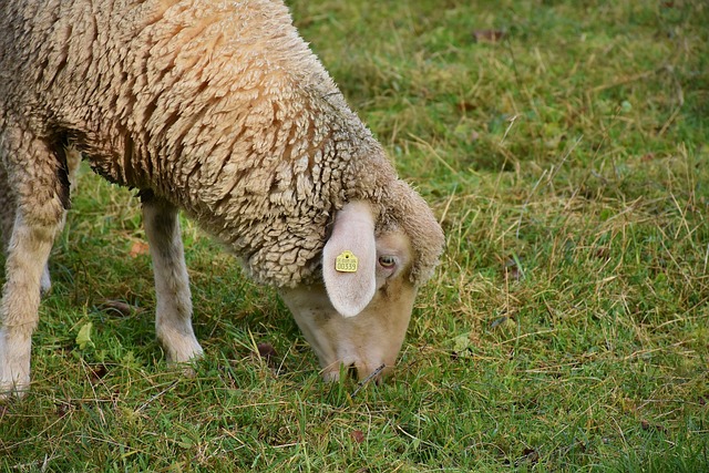 bicho mais atrasado da federal|bicho mais atrasado pra federal