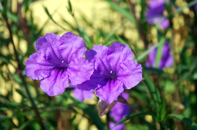 lavanderia cassino