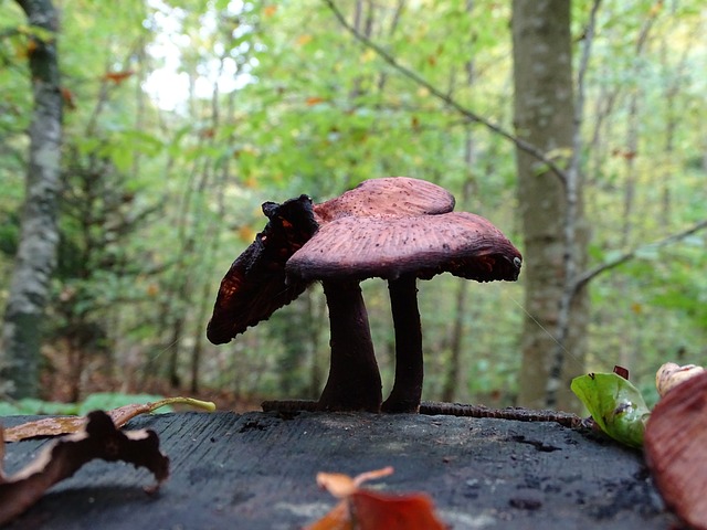 Foto do arquivo: fornecida por 【ganhador na lotofácil de hoje】