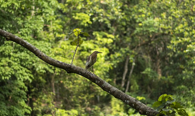 Foto do arquivo: fornecida por 【site oficial da betano】