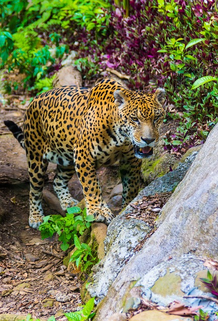 Foto do arquivo: fornecida por 【melhor bingo】