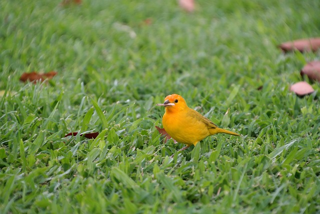 Foto do arquivo: fornecida por 【conta demo tigrinho gratis】