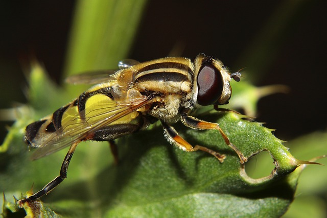 Foto do arquivo: fornecida por 【bets365】