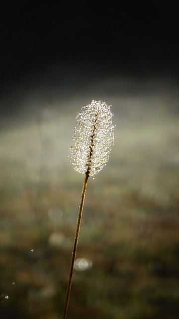 Foto do arquivo: fornecida por 【Dinheiro rápido de 300 reais pelo pix】