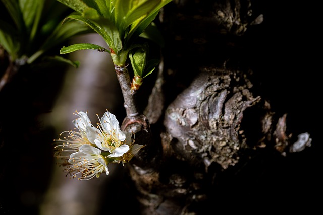 Foto do arquivo: fornecida por 【sdy slot】