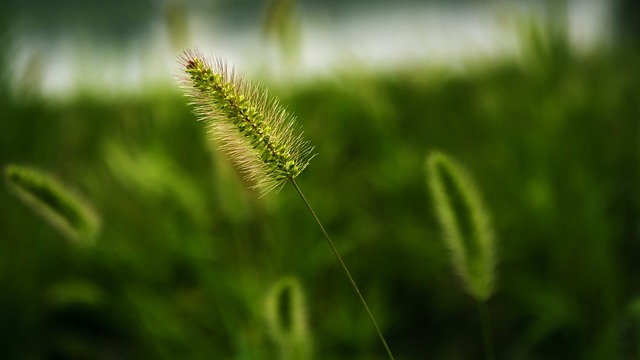 Foto do arquivo: fornecida por 【jogo do touro】