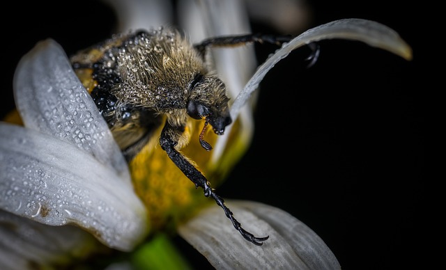 Foto do arquivo: fornecida por 【sua bet】