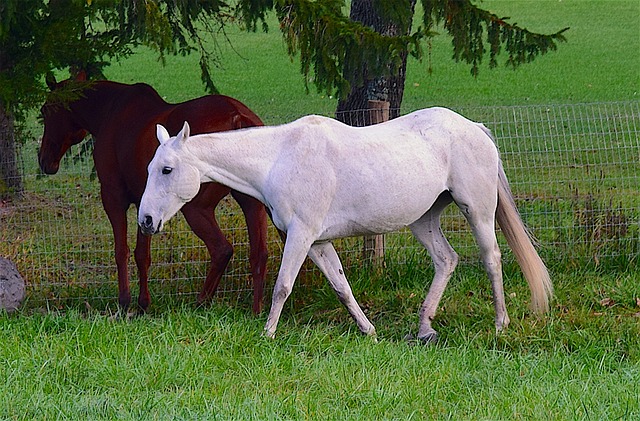 Foto do arquivo: fornecida por 【betano casino】