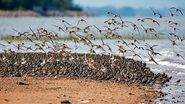 Foto do arquivo: fornecida por 【resultado da loteria federal 5442】