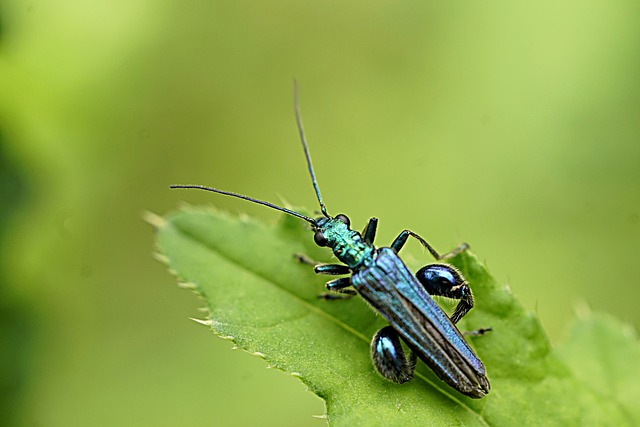 Foto do arquivo: fornecida por 【mega sena caixa loterias】