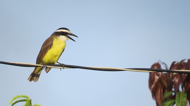 Foto do arquivo: fornecida por 【o que deu no poste ao vivo】