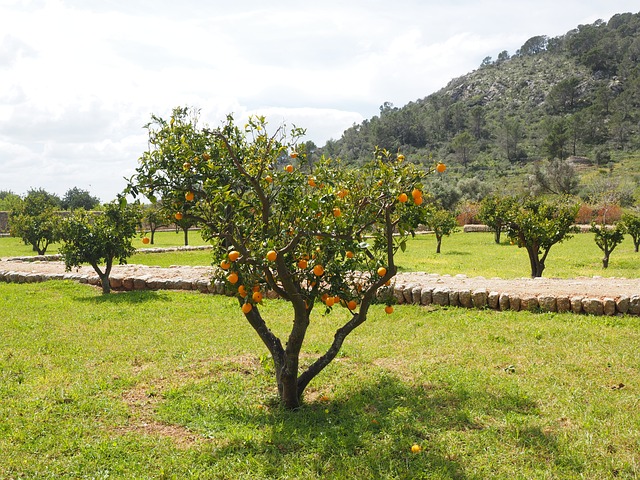 tabela de preço da lotofácil caixa