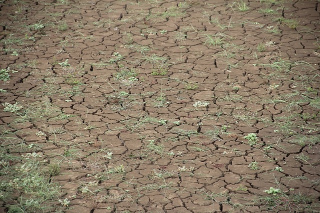 Foto do arquivo: fornecida por 【Plataforma que paga mais atualmente】