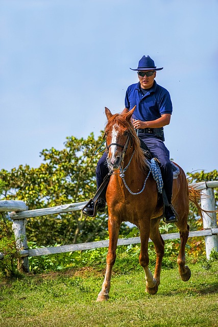 Foto do arquivo: fornecida por 【Poki Jogos】