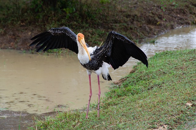 Foto do arquivo: fornecida por 【acertando 13 pontos na lotofácil ganha quanto】