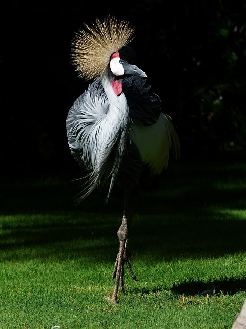 Foto do arquivo: fornecida por 【padaria jogos】