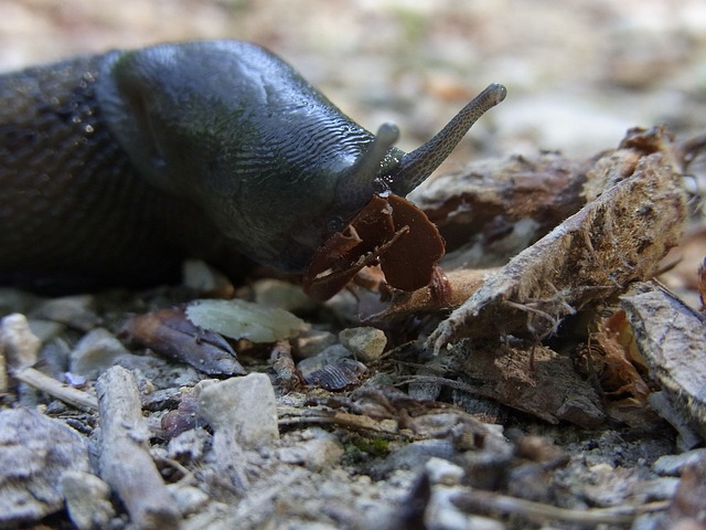 Foto do arquivo: fornecida por 【loterias caixa quina resultado】