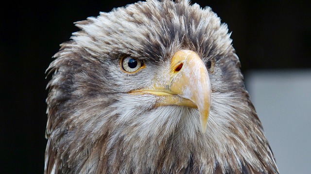 Foto do arquivo: fornecida por 【resultado jogo do bicho da federal de sábado】