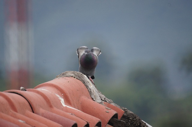 Foto do arquivo: fornecida por 【como fazer pix】