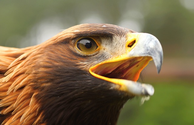 Foto do arquivo: fornecida por 【resultado mega sena 10 03 2016】