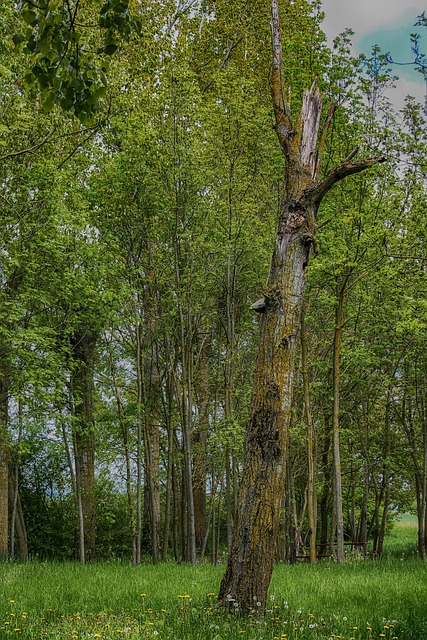 Foto do arquivo: fornecida por 【lojas obino cassino telefone】