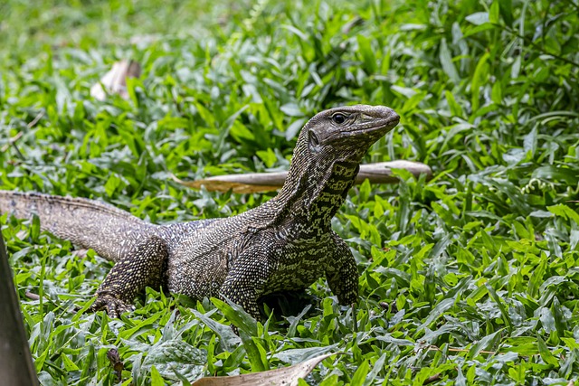 Foto do arquivo: fornecida por 【quina concurso 4830】