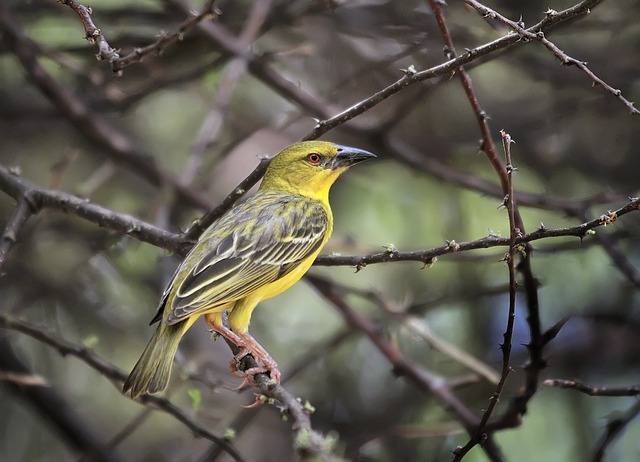 Foto do arquivo: fornecida por 【Resultado do concurso de hoje da Quina】