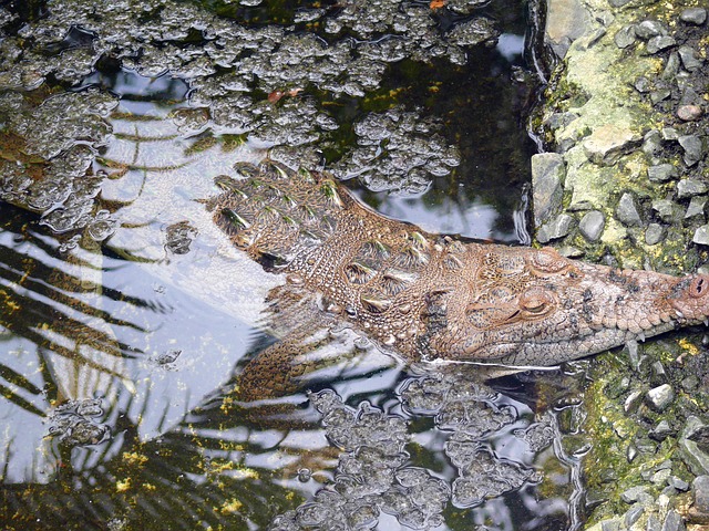 Foto do arquivo: fornecida por 【betano cassino online】