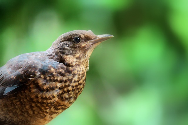 Foto do arquivo: fornecida por 【aposta ganha bet】