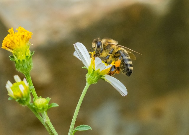 Foto do arquivo: fornecida por 【Sistema que compensa inscrição instantânea com pix】