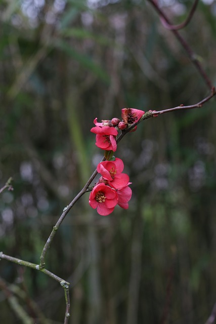 Foto do arquivo: fornecida por 【resultado da lotofácil 2528】