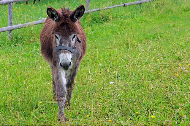 Foto do arquivo: fornecida por 【resultado do concurso 2522 da lotofácil】