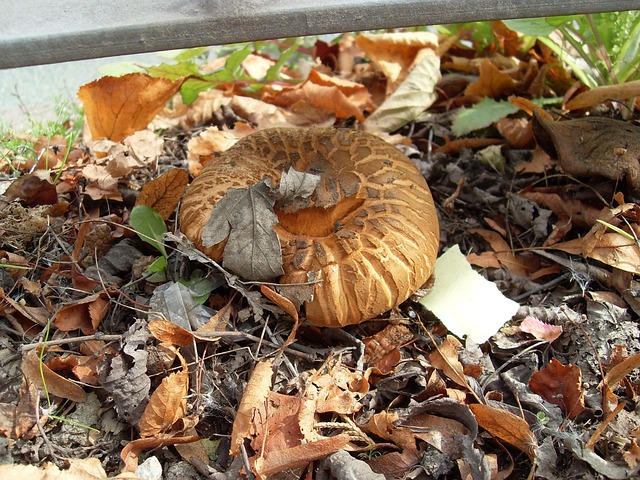 Foto do arquivo: fornecida por 【ganhar dinheiro agora na conta】