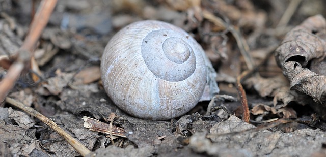 Foto do arquivo: fornecida por 【euro roulette wheel】