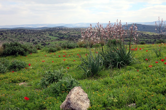 jogo de panela tramontina antiaderente