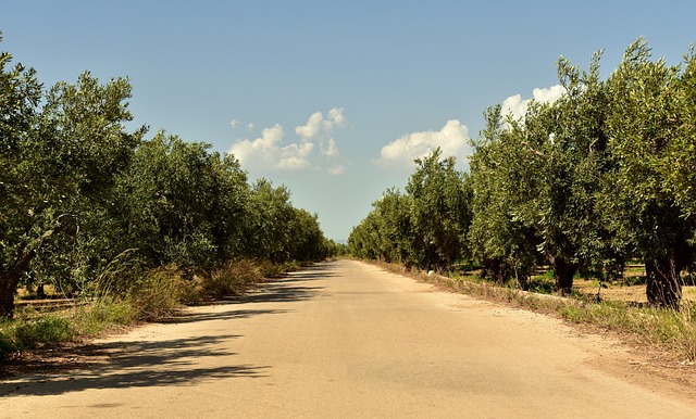 cef loterias