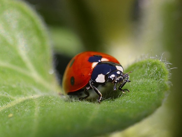 Foto do arquivo: fornecida por 【today's sun bingo numbers】