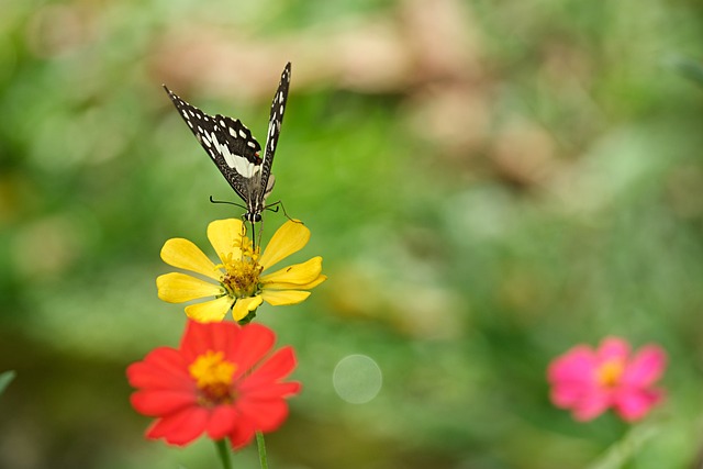 Foto do arquivo: fornecida por 【Resultado atualizado da Loteria Federal】