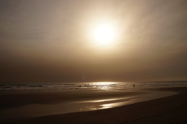 jogos de tomar banho na praia