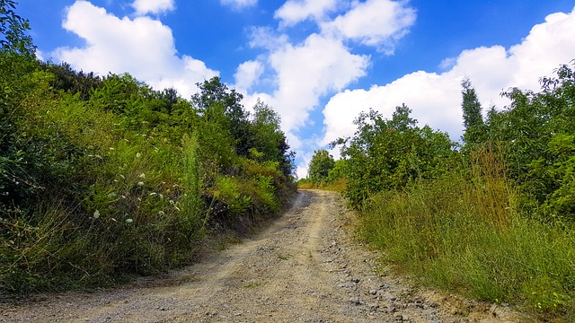 monte carlos jogo de bicho|monte carlos jogo do bicho de hoje