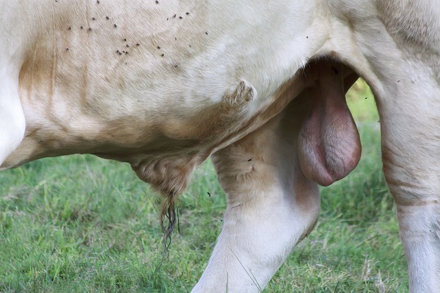 Foto do arquivo: fornecida por 【maior ganhador da lotofácil】