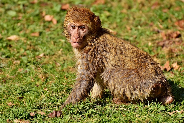 Foto do arquivo: fornecida por 【resultado da loteria da federal】